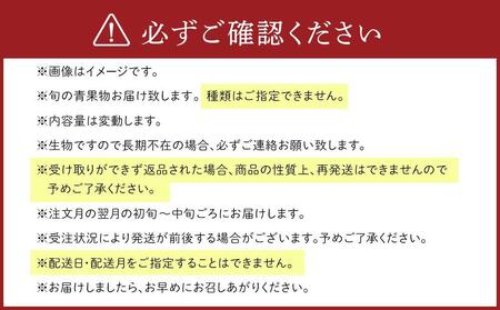【年4回お届け(3・6・9・12月)】紀南の採れたて野菜・フルーツ定期便(春・夏・秋・冬)8~15品目詰め合わせ