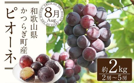 定期便全3回 和歌山の人気の夏のフルーツをお届け！ ［TM204］