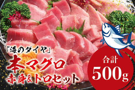 【6月発送】本マグロ（養殖）トロ＆赤身セット 500g まぐろ 刺身 鮪 本鮪 クロマグロ 赤身 中とろ 【nks110_cp-6】