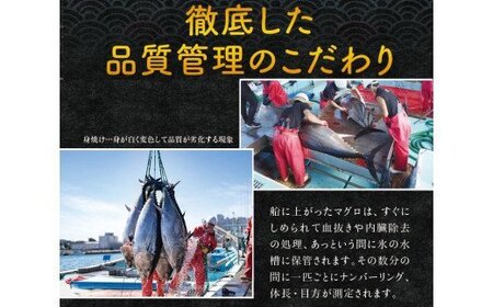 【6月発送】本マグロ（養殖）トロ＆赤身セット 500g まぐろ 刺身 鮪 本鮪 クロマグロ 赤身 中とろ 【nks110_cp-6】