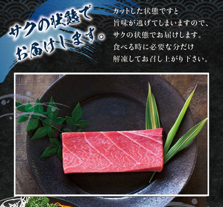 【6月発送】本マグロ（養殖）トロ＆赤身セット 500g まぐろ 刺身 鮪 本鮪 クロマグロ 赤身 中とろ 【nks110_cp-6】