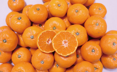 11月下旬~順次発送! こだわりの有田みかん 3kg 手選別【hdm004A】