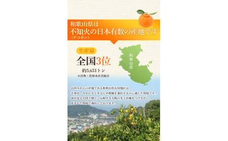 不知火 【デコポンと同品種】家庭用1kg+250g（傷み補償分）【ikd161C】