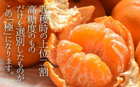 ＼光センサー選別／極 有田みかんプレミアム 約2kg【選りすぐりの上位20％をお届け】2S～Lサイズ 有機質肥料100% ※2025年11月下旬～2026年1月上旬頃に順次発送予定 ※北海道・沖縄・離島への配送不可 / みかん みかん みかん フルーツ 【nuk154F】