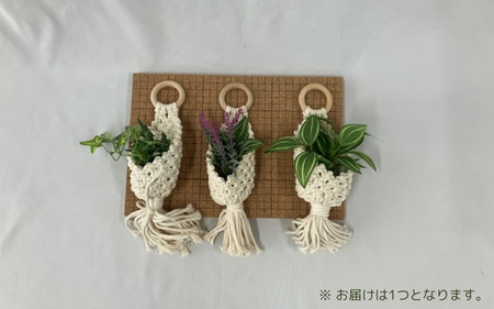 ハンドメイド  マクラメ　小物入れ /  マット テーブルウェア 敷物 雑貨 手作り 【stn004】 10,080円