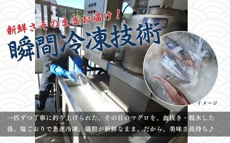 【訳あり】和歌山県すさみ産 天然生マグロ 冷凍 生 約200g×10個　/ 海鮮丼 鮪 寿司 海鮮  小分け 刺身 和歌山 すさみ町 キハダマグロ メバチマグロ マグロ マグロ 大容量 【scp004C】