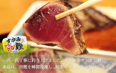 すさみ町産 ケンケン鰹のたたき 約1kg / カツオ かつお 刺身 タタキ 天然 初ガツオ 初鰹 かつおのたたき 鰹 【scp012】