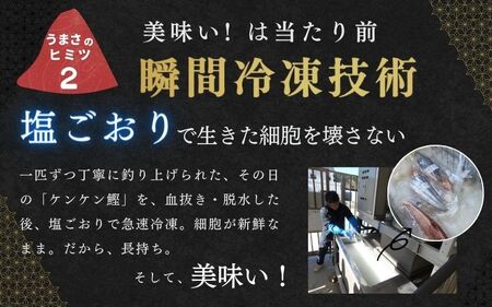 すさみ町産 ケンケン鰹のたたき 約1kg / カツオ かつお 刺身 タタキ 天然 初ガツオ 初鰹 かつおのたたき 鰹 【scp012】