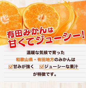 2025年11月発送予約分】 【農家直送】【家庭用】こだわりの有田 2025年11月発送予約分】 【農家直送】【家庭用】こだわりの有田
