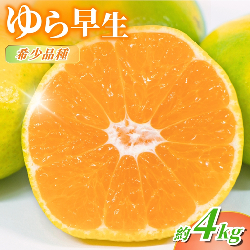 みかん【秋発送予約】 ゆら早生みかん 家庭用約4kg 【nuk162B】