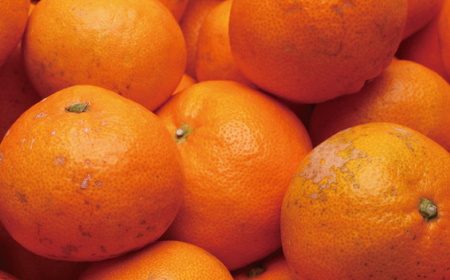 みかん 家庭用有田みかん 2.5kg+250g【ikd173B】