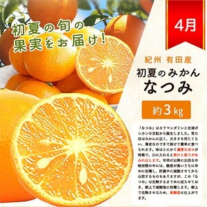 【全3回】紀州和歌山産旬の柑橘定期便 (みかん・なつみ・バレンシア) 【tkb378】