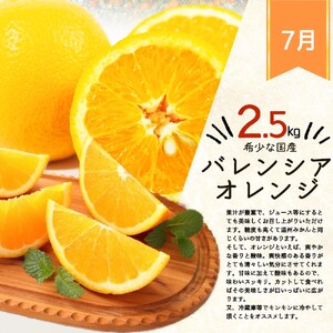 【全3回】紀州和歌山産旬の柑橘定期便 (みかん・なつみ・バレンシア) 【tkb378】