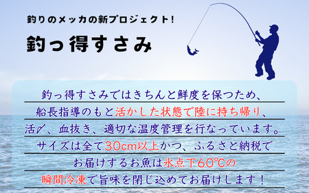 【何が届くかお楽しみ】和歌山県すさみ産 まるっと鮮魚便【3～4匹】一本魚/ 魚介 海鮮 海の幸 魚料理 冷凍 まるごと 新鮮 刺身 和歌山 すさみ町 大容量 【scp122-2】 