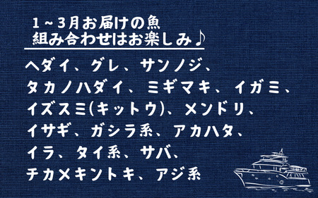 【何が届くかお楽しみ】和歌山県すさみ産 まるっと鮮魚便【3～4匹】一本魚/ 魚介 海鮮 海の幸 魚料理 冷凍 まるごと 新鮮 刺身 和歌山 すさみ町 大容量 【scp122-2】 