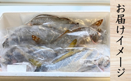 【何が届くかお楽しみ】和歌山県すさみ産 まるっと鮮魚便【3～4匹】一本魚/ 魚介 海鮮 海の幸 魚料理 冷凍 まるごと 新鮮 刺身 和歌山 すさみ町 大容量 【scp122-2】 