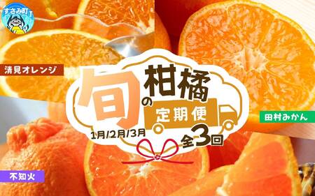 【全3回】紀州和歌山産旬のご家庭用柑橘セット(みかん・不知火・清見)【tkb411】