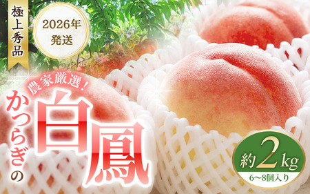 【予約受付】桃の王様 白鳳  約2kg（6個~9個） 2026年6月末頃～2026年7月末頃に順次発送予定（お届け日指定不可）/ 桃 もも 白鳳 フルーツ 果物 くだもの 【kgr009A】