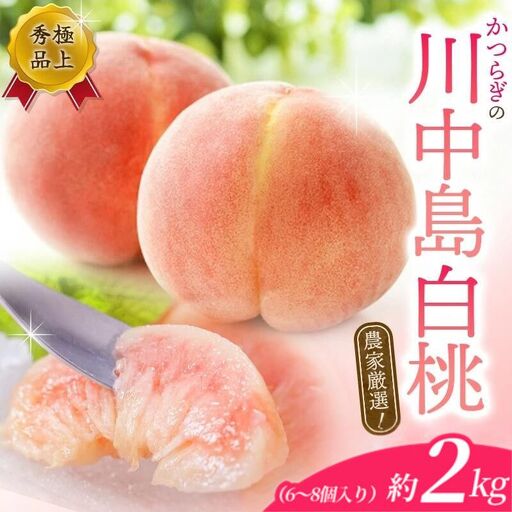 【予約受付】桃の王様　こだわり農家厳選 川中島白桃 和歌山産の桃  約2kg（6個~9個） 2026年7月末頃～2026年8月末頃に順次発送予定（お届け日指定不可）/ 桃 もも 川中島 白桃 フルーツ 果物 くだもの 【kgr011A】