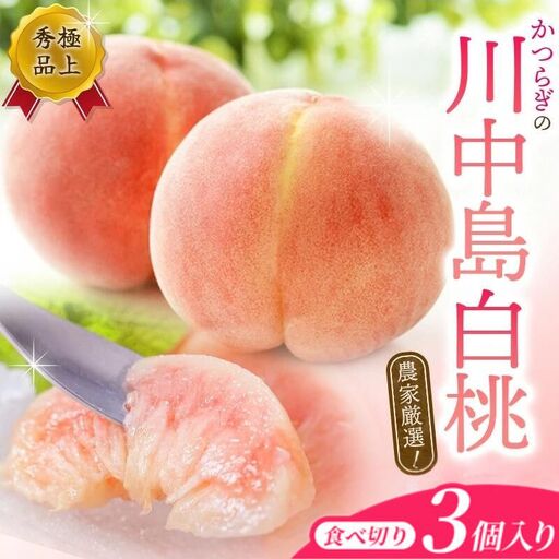 【予約受付】こだわり農家厳選 川中島白桃 和歌山産の桃  嬉しい食べきり容量 3玉 2026年7月末頃～2026年8月末頃に順次発送予定（お届け日指定不可）/ 桃 もも 川中島 白桃 フルーツ 果物 くだもの 【kgr012】