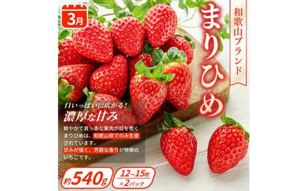 フルーツ 定期便 フルーツ 4回 果物 和歌山【kgr025】