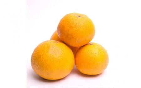 ＜先行予約＞厳選はっさく1kg+250g（傷み補償分）【八朔みかん】＜1月より発送＞※北海道・沖縄・離島への配送不可【ikd220】