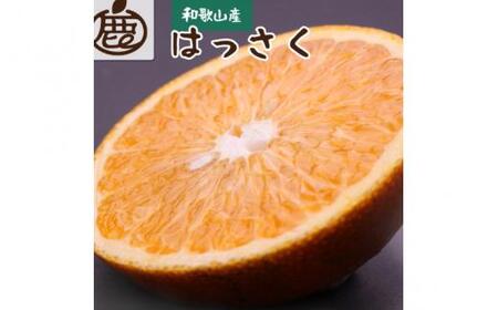 ＜先行予約＞厳選はっさく5kg+250g（傷み補償分）【八朔みかん】＜1月より発送＞※北海道・沖縄・離島への配送不可【ikd221】
