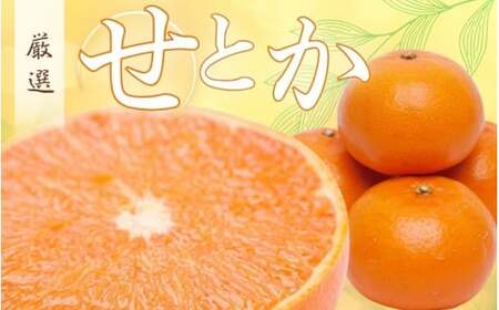 2月より発送＞厳選 せとか 10kg+250g（傷み補償分）【柑橘・春