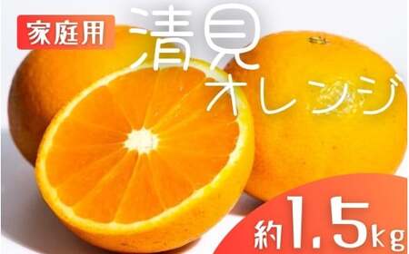 【先行予約】【家庭用】 森本農園の手選別 清見オレンジ 約1.5kg 和歌山県産 サイズ混合 ※2026年2月上旬～5月中旬頃順次発送 / きよみ 清見 柑橘 ご家庭用 期間限定 由良町 果物 フルーツ 和歌山県【mrmt021A】