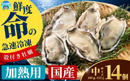 国産 急速冷凍牡蠣 加熱用 中サイズ 14個 / 牡蠣 殻付き 海鮮 かき