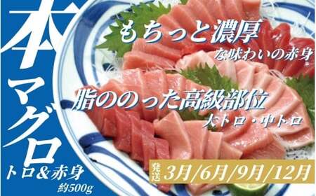 定期便 【全3回】海の幸定期便【tkb607】