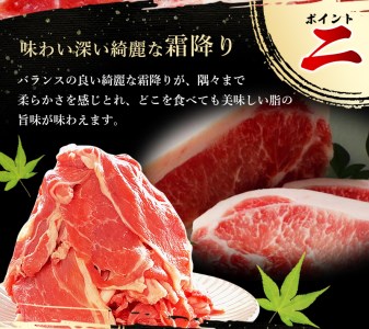 【希少すさみブランド豚】すさみ豚 切り落とし 2.5㎏ (ウデ・モモ切り落とし500g×5パック)/貴重 ブランド豚 小分け スライス お得 大容量 万能 炒め物 焼肉 しゃぶしゃぶ 生姜焼き 冷しゃぶ 冷凍 すさみ町 【ibu116】