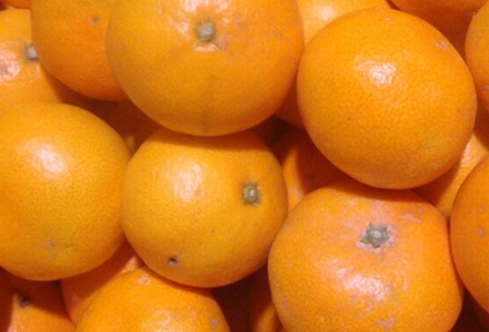 みかん 訳あり 有田みかん 約10kg 【光センサー・有機質肥料100%】【nuk138G】