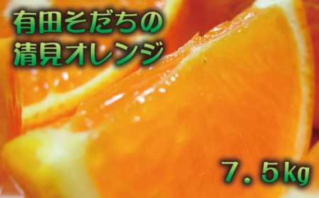 【2025年3月上旬～発送】有田育ちの完熟清見オレンジ(ご家庭用)　約7.5kg※北海道・沖縄・離島配送不可【ard018A】
