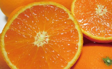 【2025年3月上旬～発送】有田育ちの完熟清見オレンジ(ご家庭用)　約7.5kg※北海道・沖縄・離島配送不可【ard018A】