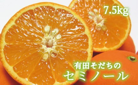 【2025年4月順次発送予定】有田育ちの爽快セミノールオレンジ(ご家庭用)　約7.5kg ※北海道・沖縄・離島配送不可【ard026A】