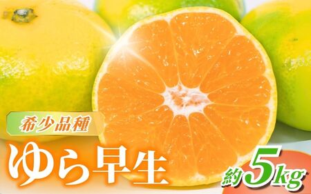 みかん【先行予約】ゆら早生みかん 家庭用約5kg サイズ混合 【nuk109E】