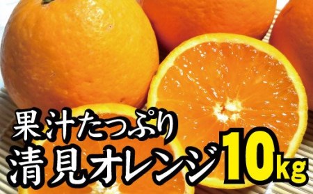 【農家直送】果汁たっぷり！清見オレンジ 約10kg 有機質肥料100%　 サイズ混合　※2026年3月～4月に順次発送予定（お届け日指定不可）【nuk113B】 6,750円