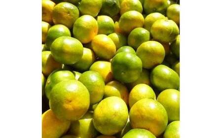 みかん こだわりの極早生みかん 約10kg 【nuk135D】