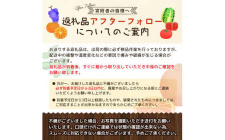 【農家直送】有田みかん 約10kg 大玉3L以上 有機質肥料100% 2025年12月初旬~1月中旬に順次発送(お届け日指定不可)【nuk139F】