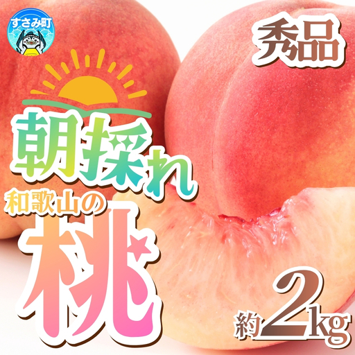 【産直・人気の特産品】和歌山の桃 約2kg 秀品 　※2026年6月下旬～2026年8月上旬頃次発送 / もも モモ フルーツ 果物 くだもの 人気 甘い 和歌山【tec910B】