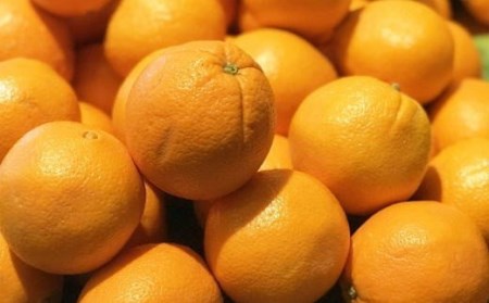 【濃厚】和歌山県産ネーブルオレンジ15玉～27玉（L～4Lサイズおまかせ）【tec918】