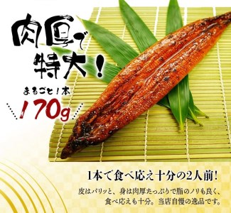 【大型サイズ】ふっくら柔らか 国産うなぎ蒲焼き 1尾 約2人前 化粧箱入/うなぎ ウナギ 鰻 うなぎ蒲焼 国産【uot714A】
