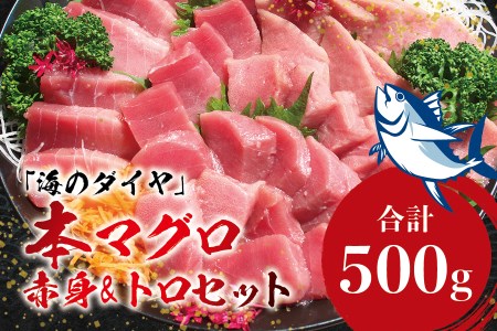 【2月発送】本マグロ（養殖）トロ＆赤身セット 500g まぐろ 刺身 鮪 本鮪 クロマグロ 赤身 中とろ 【nks110_cp-2】