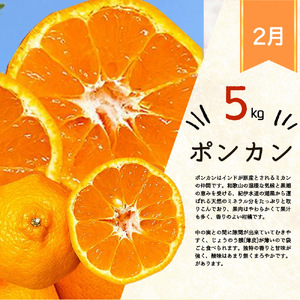 【3か月定期便】人気のみかんを集めた!旬の柑橘定期便 / 定期便 みかん 果物 柑橘 フルーツ オレンジ ミカン 和歌山 有田みかん【tkb111】