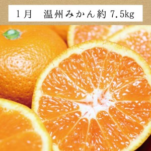 みかん 定期便 訳あり×たっぷり 温州みかん 不知火 清見オレンジ【tkb113】