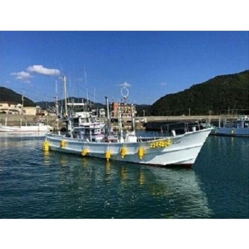 すさみの海での船釣りチケット（1名様分）【ssm100】