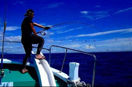 【マグロキャストチャーター】第八大洋丸 1日チャーター券(大人6名迄)　/まぐろ 鮪 【tym100】