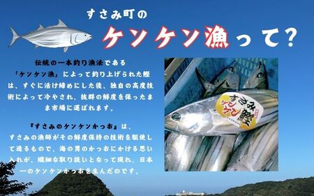 すさみの熟成ケンケン鰹のたたき　約500g/カツオ かつお タタキ 和歌山 すさみ町 冷凍 新鮮 【gyg135A】