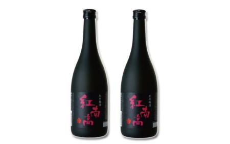  紀州梅酒 紅南高　720ml×2本 化粧箱入り/南高梅 和歌山 リキュール  梅 ウメ 梅酒 【eki117A】